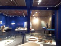 מוזיאון פלשטים אשדוד