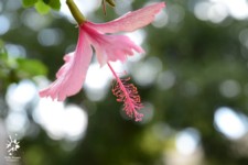 ����� ����  101 ������ ����� ���� ���� - ����