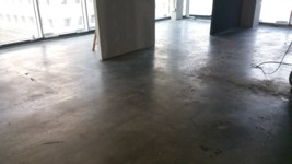 ����� ����  149 ������ ������ ������ ���� ����� �������