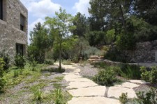שביל הליכה בגינה