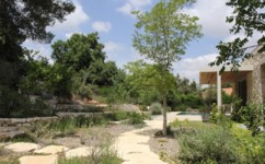 שביל הליכה לכיוון הבריכה