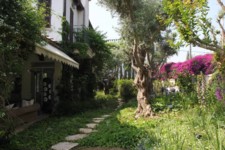 מדרכי דילוג  וצמחיית כיסוי
