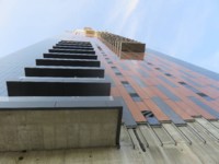 ����� ����  19 ������ ����� �������: ���� ���� �������, ��� ���