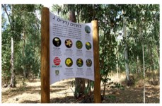 חורשת הסרג׳³נטים נתניה