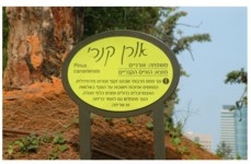 שלט עצים בגן אברהם