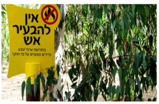 חורשת הסרג׳³נטים נתניה