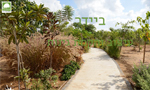 Click for Website 11319